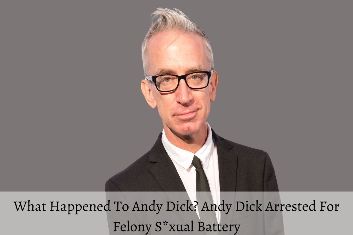 What Happened To Andy Dick Andy Dick? Arrested For Felony S*xual Battery