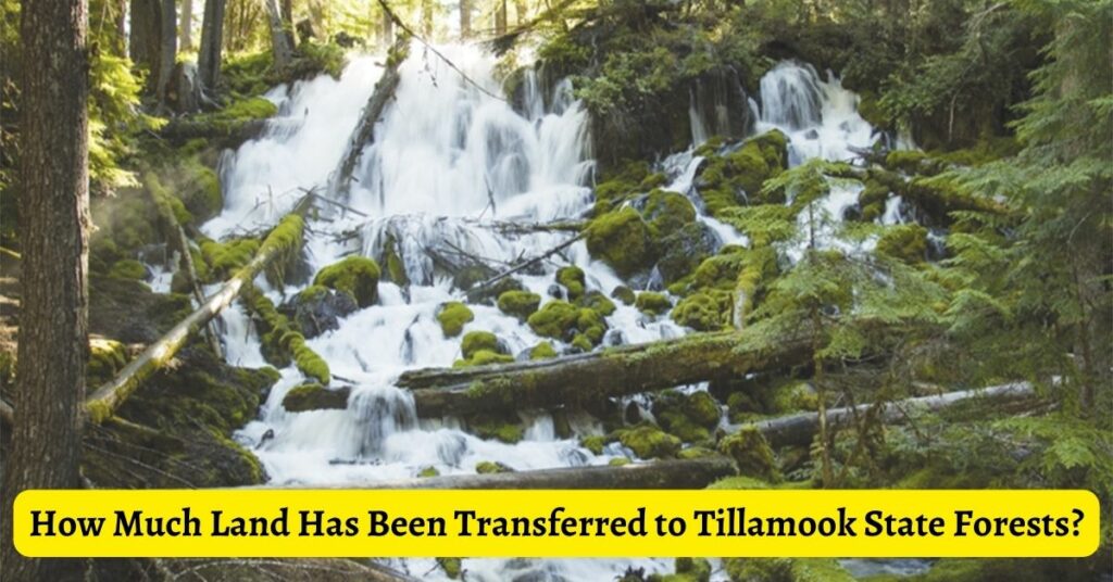 How Much Land Has Been Transferred to Tillamook State Forests