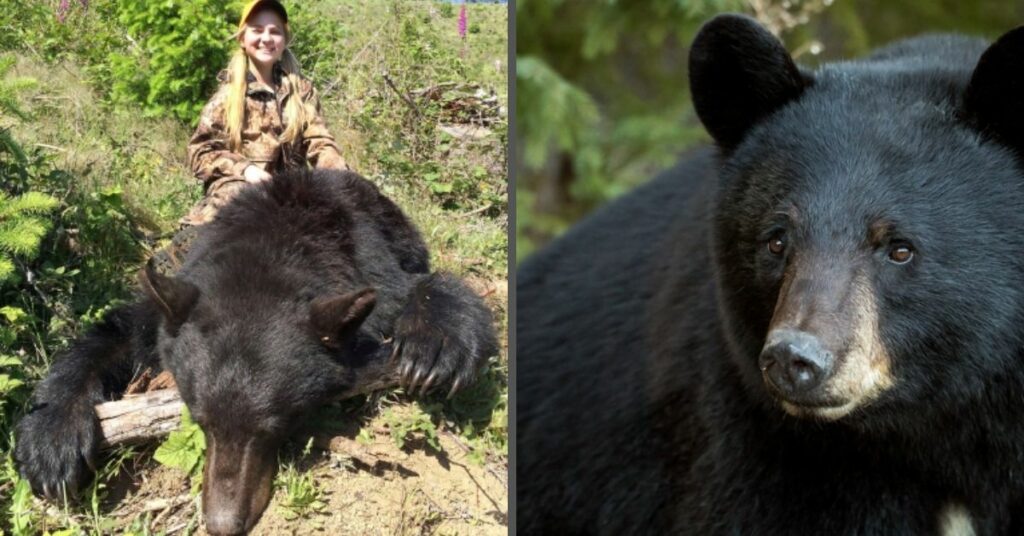Oregon Spring Bear Hunters Must Claim Tags by March 31st