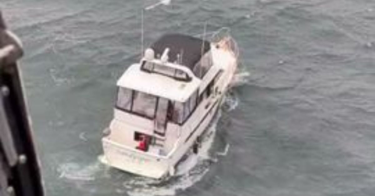 Finding the Columbia River Boater Who Hit Sea Lions is Worth $20,000!