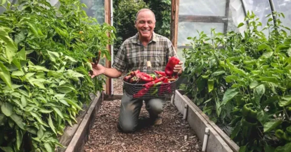 From Seed to Harvest: A Gardener Journey to Growing Peppers in Oregon