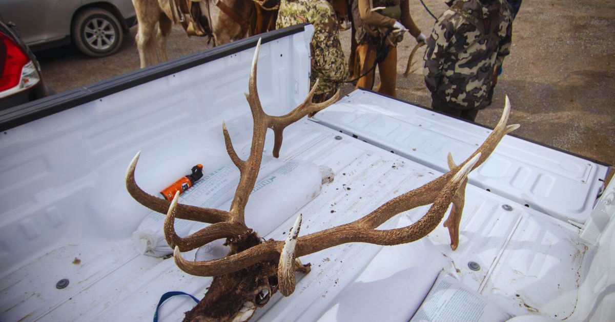 Wyoming is Under a "Historic" Shed Hunt!ng Moratorium