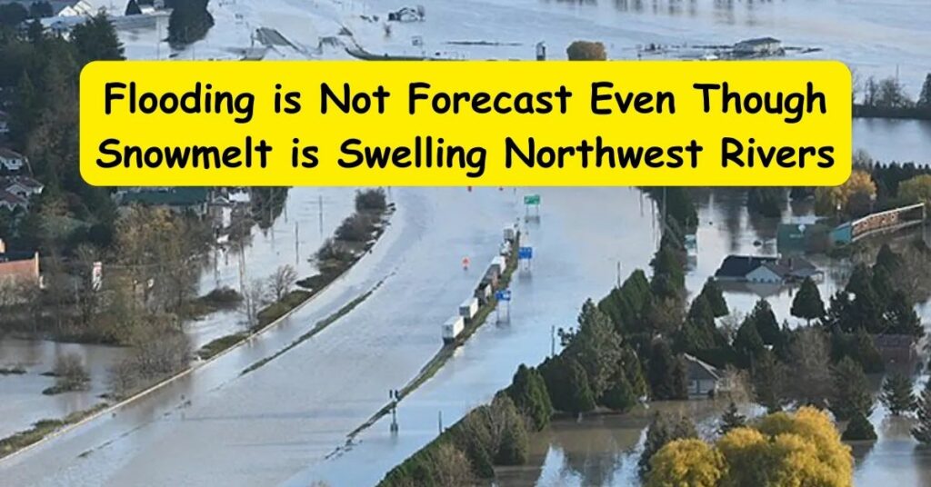 Flooding is Not Forecast