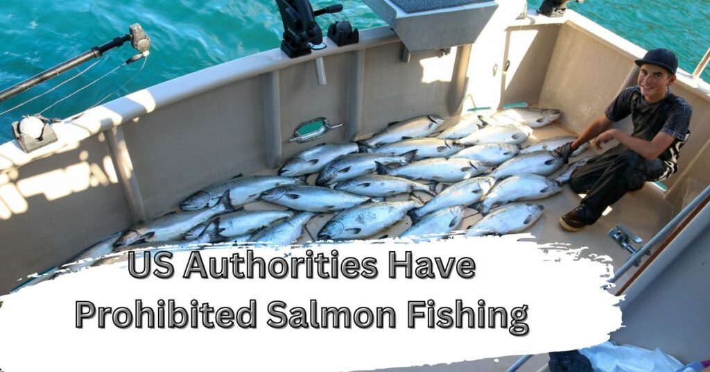 US Authorities Have Prohibited Salmon Fishing
