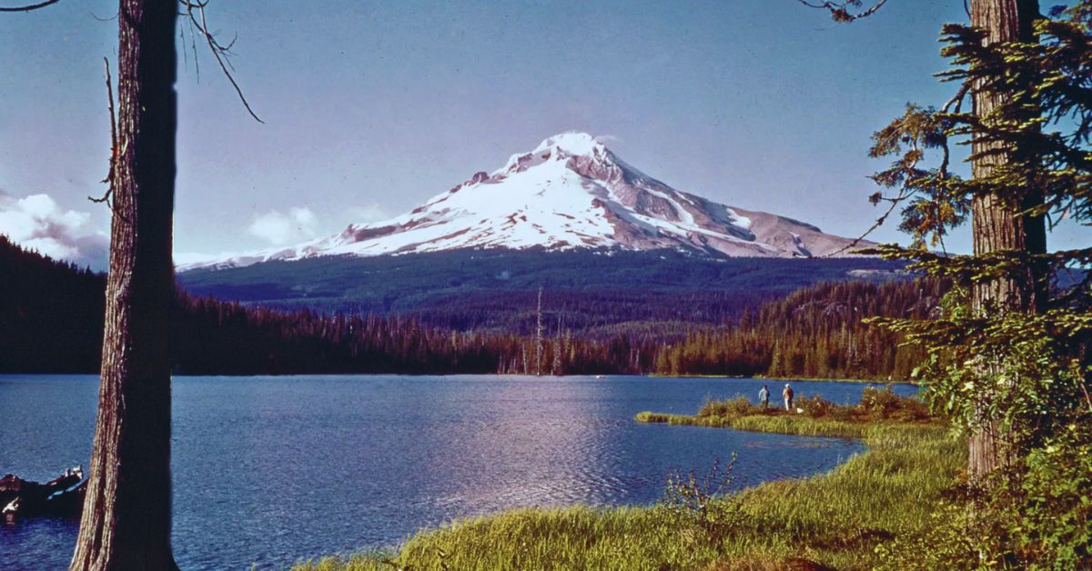 Mountain Snowpack in Oregon