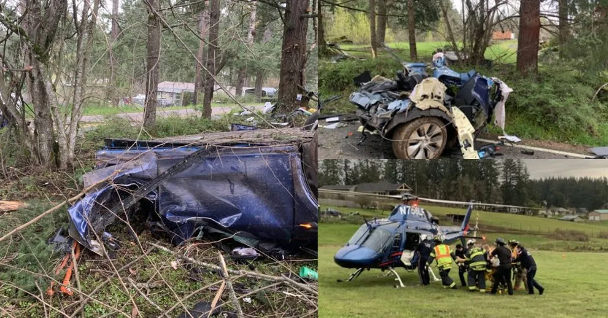 Tesla Driver Airlifted to Hospital After Oregon City Cr@sh