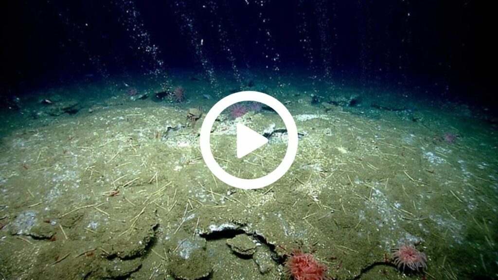 A Mysterious Hole Was Discovered on the Floor of the Pacific Ocean