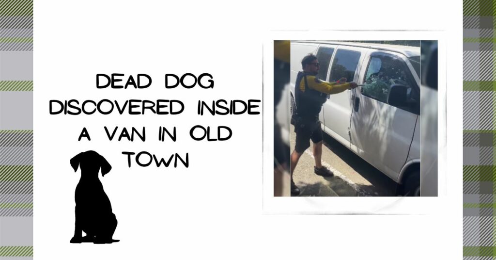 Dead Dog Discovered Inside a Van in Old Town
