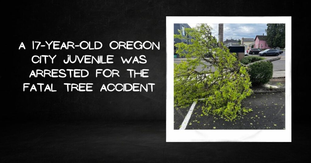 A 17-year-old Oregon City Juvenile Was Arrested for the Fatal Tree Accident