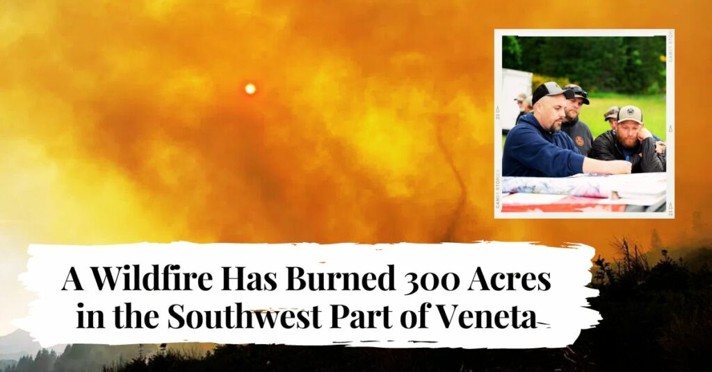 A Wildfire Has Burned 300 Acres in the Southwest Part of Veneta