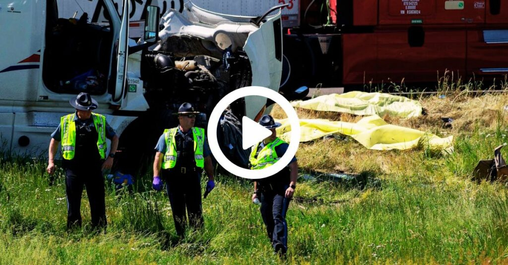 Seven People Were Killed in a Car Crash