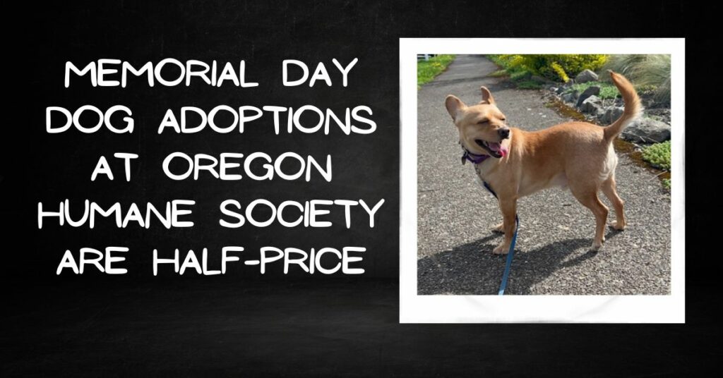 Memorial Day Dog Adoptions