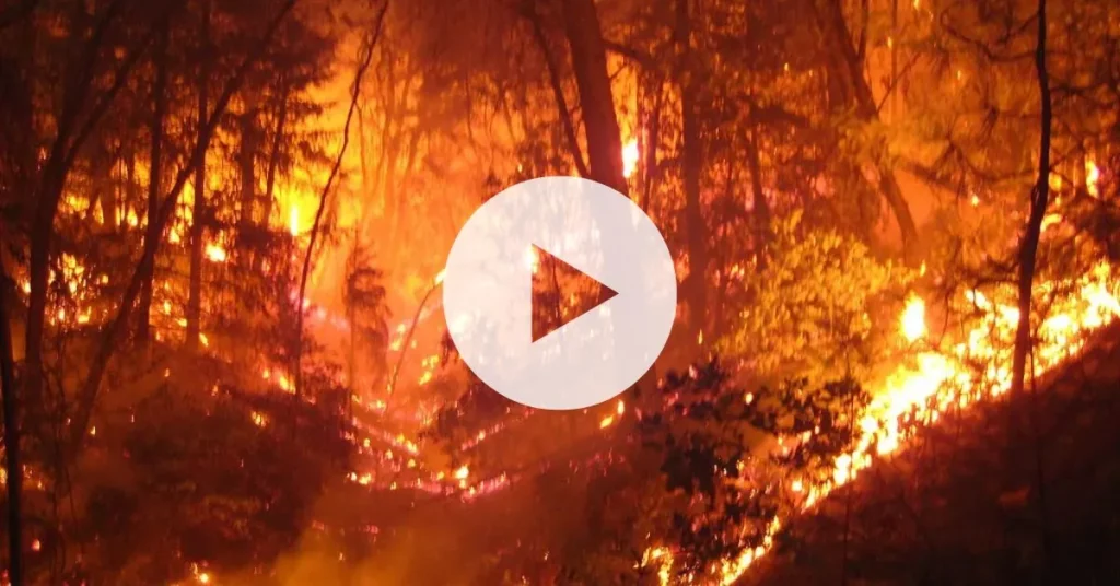 Oregon Department of Forestry Takes Bold Steps to Tackle Impending Wildfire Season