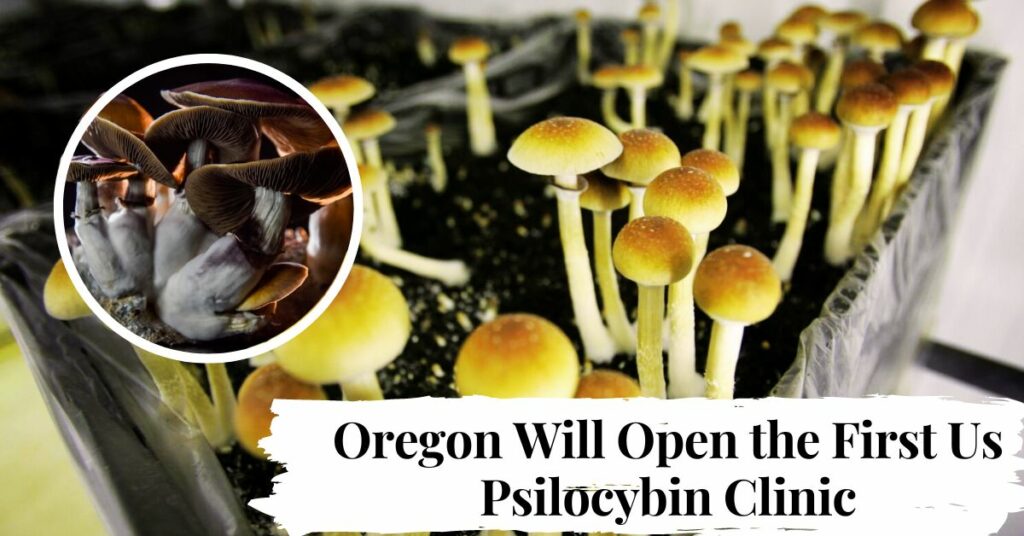 Oregon Will Open the First Us Psilocybin Clinic