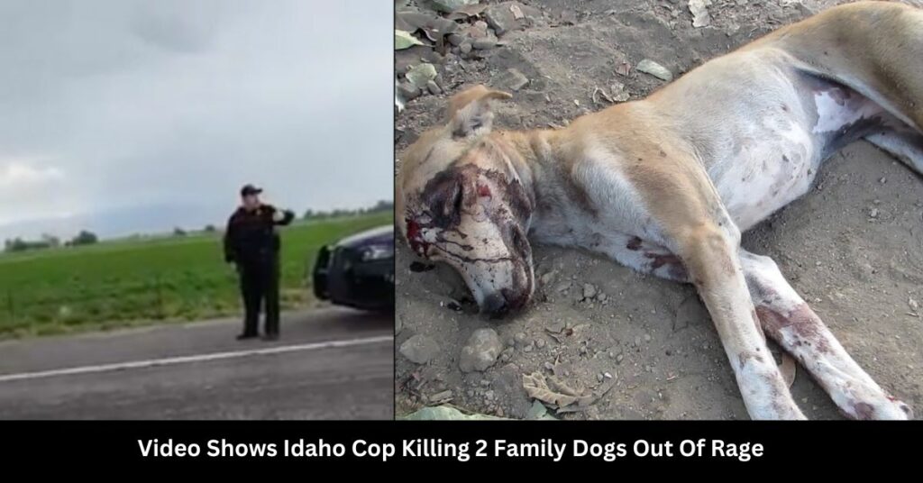 Video Shows Idaho Cop Killing 2 Family Dogs Out Of Rage