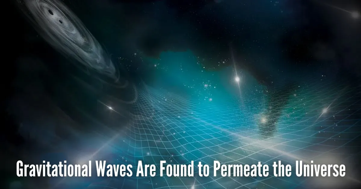 Gravitational Waves Are Found to Permeate the Universe