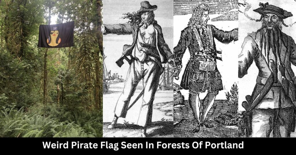 Weird Pirate Flag Seen In Forests Of Portland