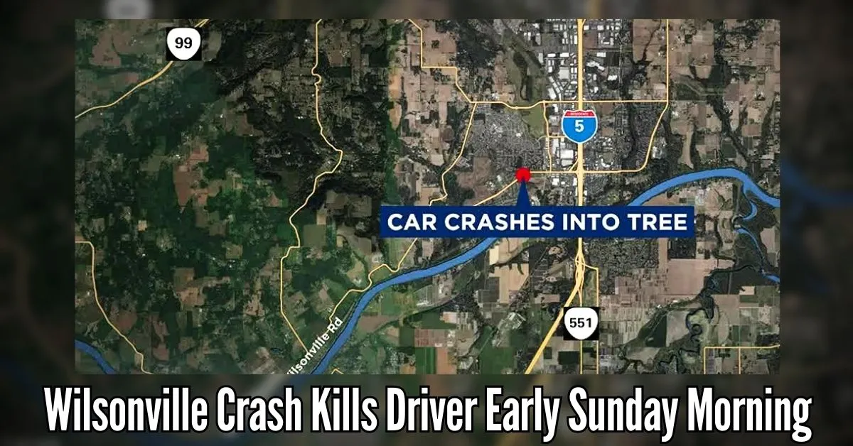 Wilsonville Crash Kills Driver Early Sunday Morning