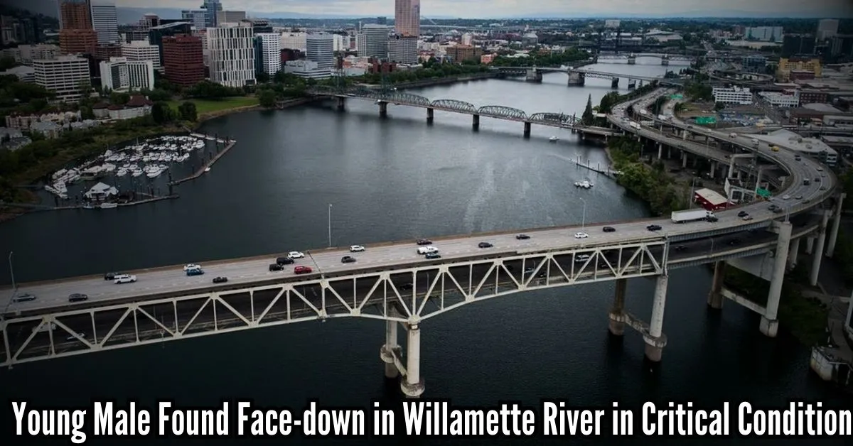 Young Male Found Face-down in Willamette River in Critical Condition