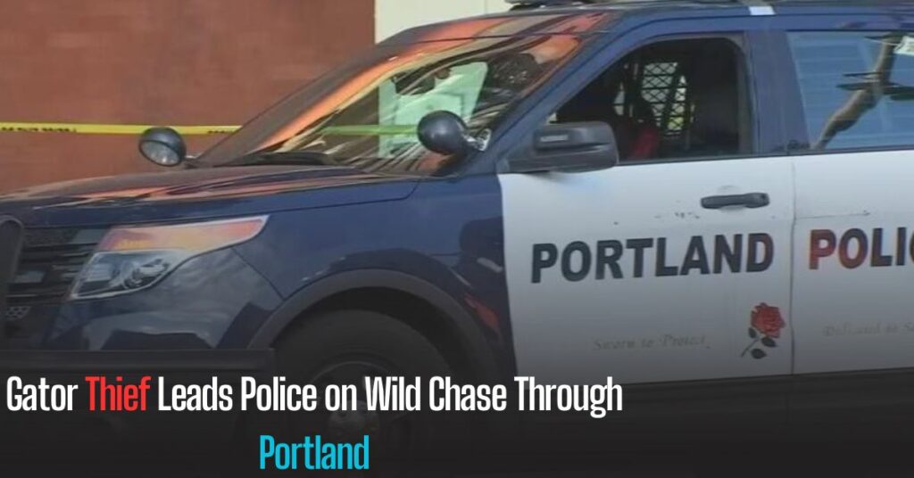 Gator Thief Leads Police on Wild Chase Through Portland
