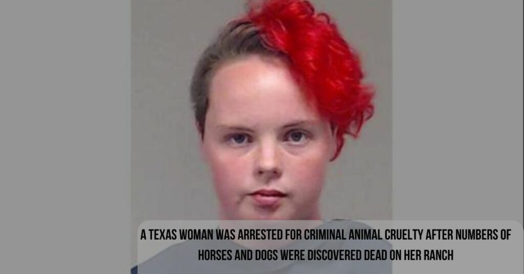 A Texas Woman Was Arrested For Criminal Animal Cruelty After Numbers Of Horses And Dogs Were Discovered Dead On Her Ranch