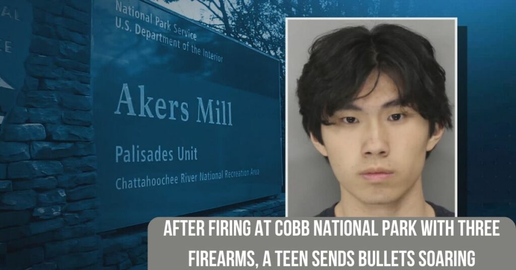 After Firing At Cobb National Park With Three Firearms, A Teen Sends Bullets Soaring