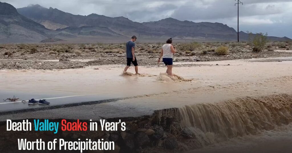 Death Valley Soaks in Year's Worth of Precipitation