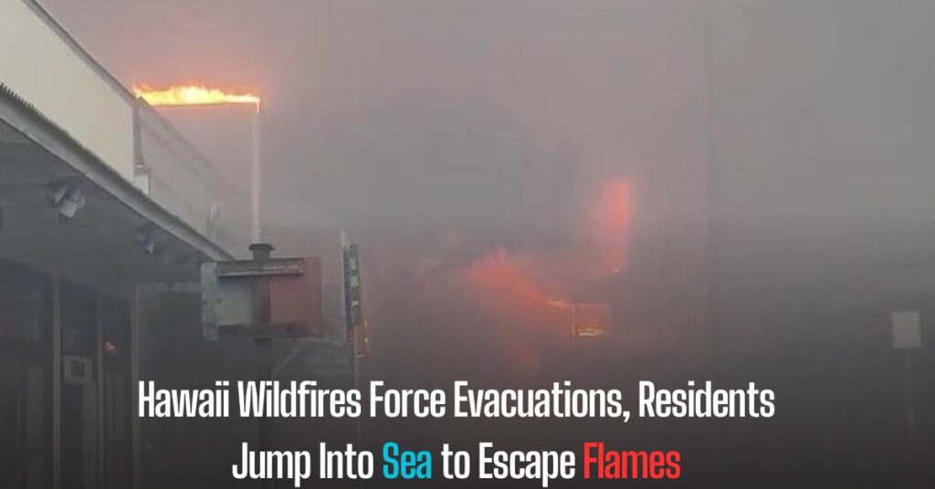 Hawaii Wildfires Force Evacuations, Residents Jump Into Sea to Escape Flames