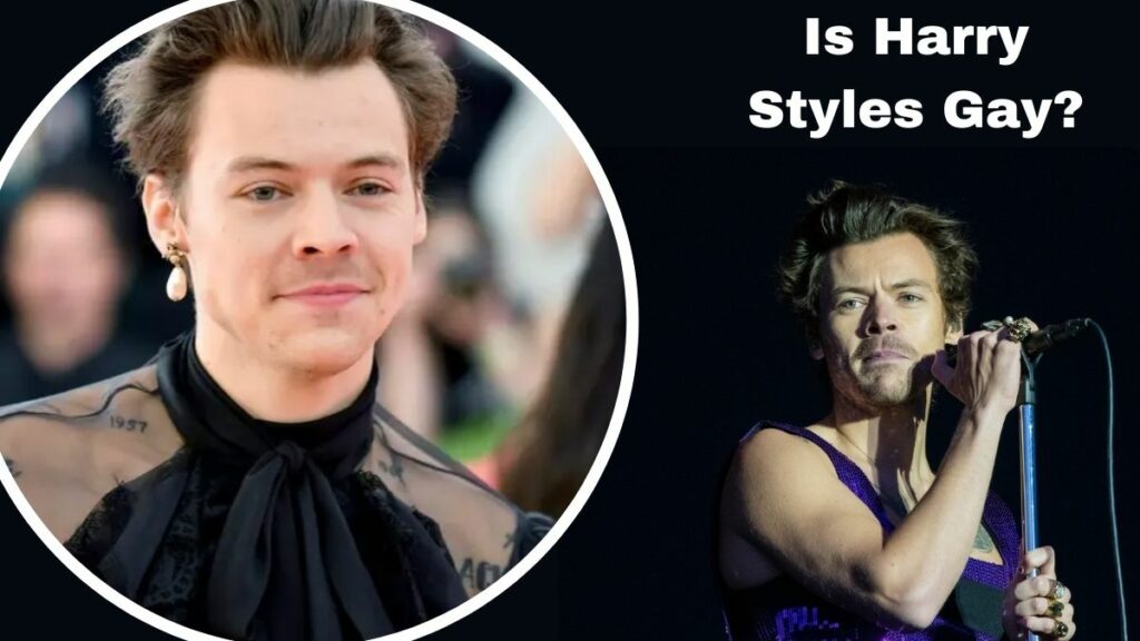 Is Harry Styles Gay?