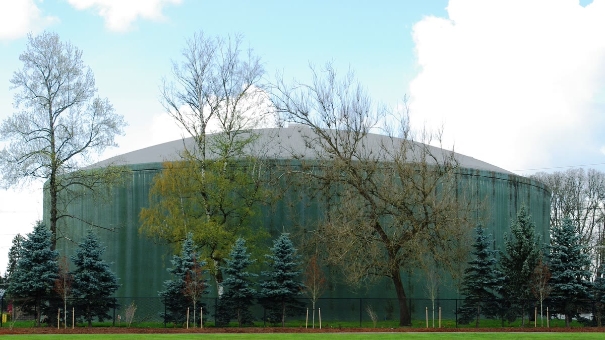 A large round green water reservoir behind a row of trees in a park