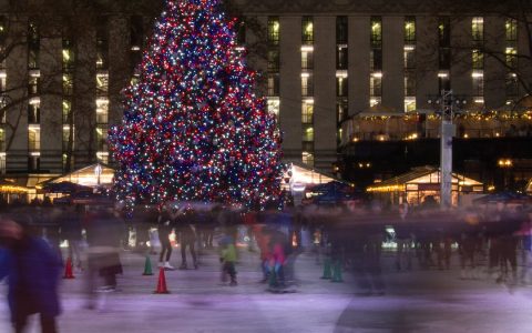 Motion-blurred skaters on an outdoor rink in front of a large lit holiday tree
