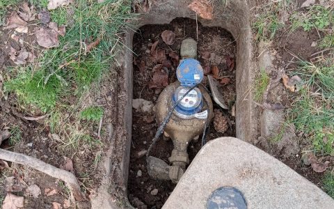 A water meter inside an open concrete meter box set in a lawn